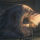 Image for article titled Readers expose the sad ironies at the heart of Bloodborne